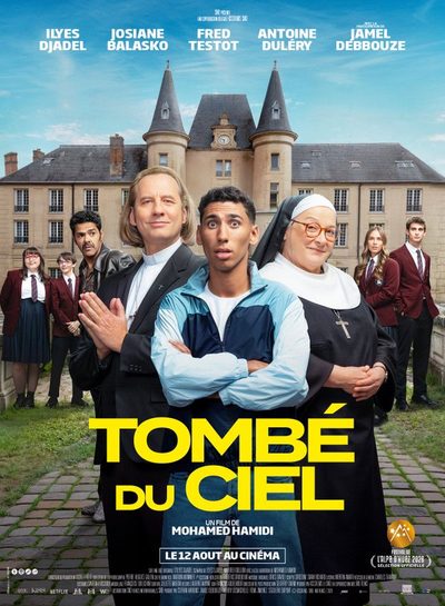 Affiche du film Tombé du Ciel